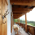 Appartement Dream In The Kitzbuehler Alps Area