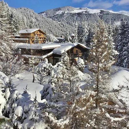 Dream In The Kitzbuehler Alps Area