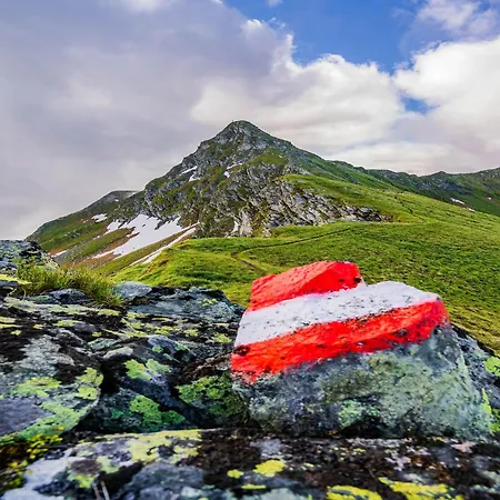 Dream In The Kitzbuehler Alps Area Апартаменты Миттерзилль