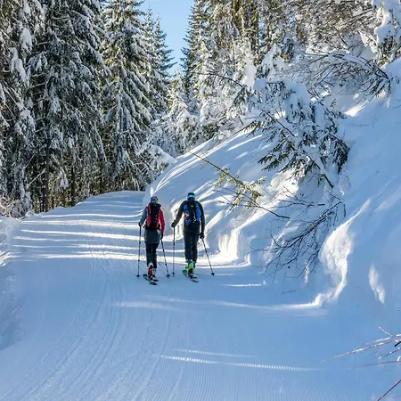 Апартаменты Dream In The Kitzbuehler Alps Area *