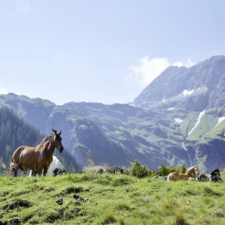 Dream In The Kitzbuehler Alps Area Апартаменты *