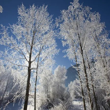 Dream In The Kitzbuehler Alps Area Апартаменты Миттерзилль